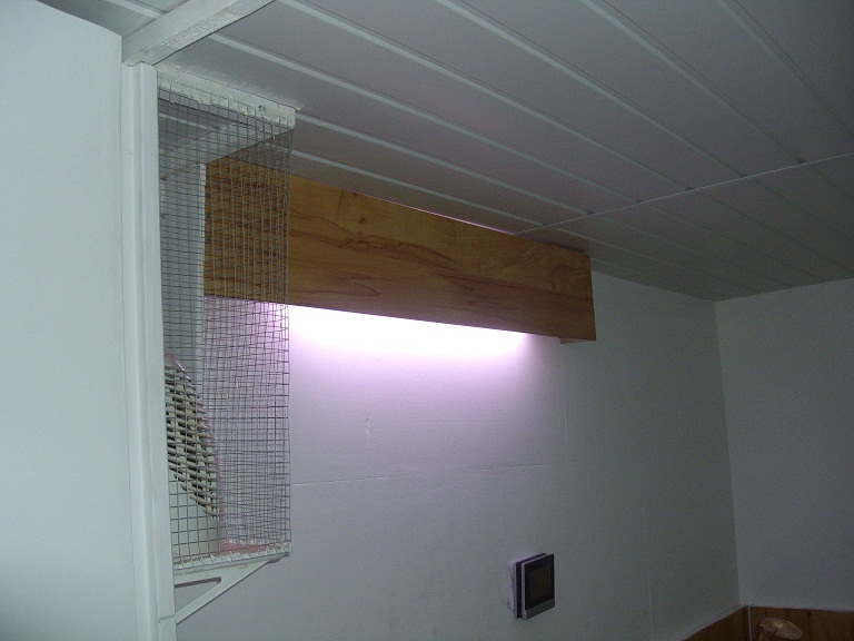 &eacute;clairage terrarium molure